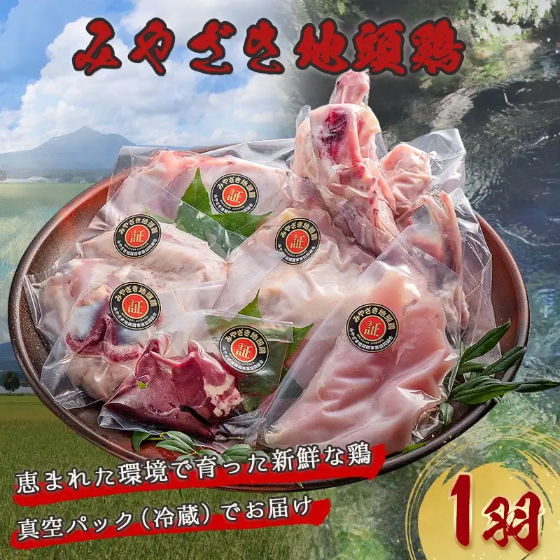 みやざき地頭鶏1羽セット〔E6-001〕_(都城市) 宮崎ブランド 宮崎の地鶏 みやざき地頭鶏 (じとっこ) 鶏肉セット モモ肉 胸身 ササミ 手羽先 手羽元 砂肝 レバーガラ 真空パック チルド 鶏一羽分