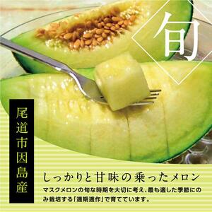 「熊八屋のマスクメロン」２玉入　2026年10月発送