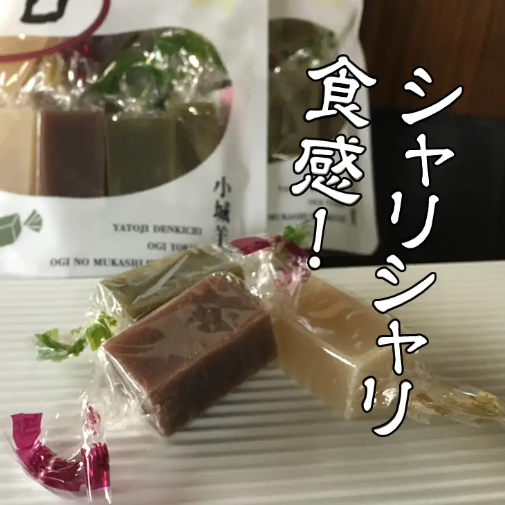小城羊羹 八頭司伝吉 昔ようかん ひとくち 4袋入り  羊羹 和菓子 B110-043