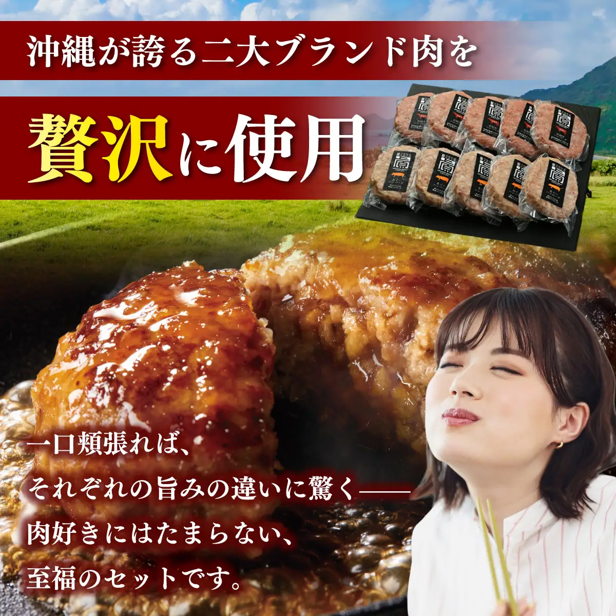 石垣牛＆あぐーハンバーグセット （AG011-1）