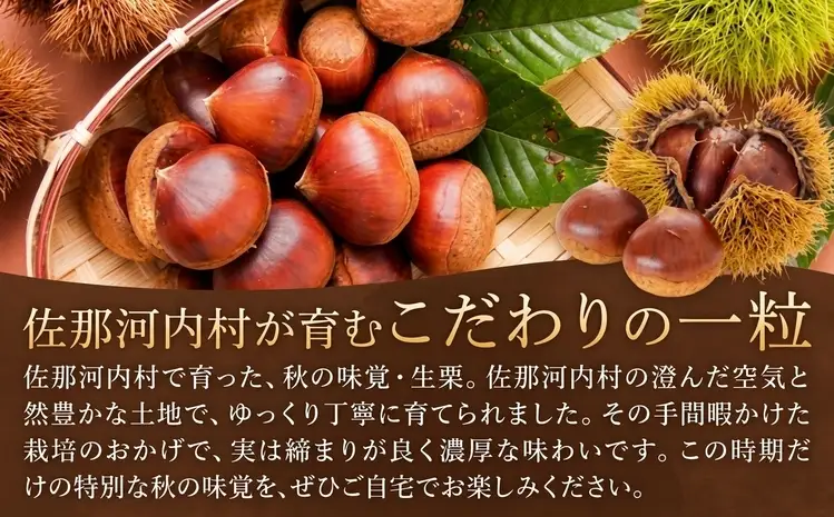 佐那河内産　生栗1kg(サイズ混合)《10月上旬-10月末頃発送》