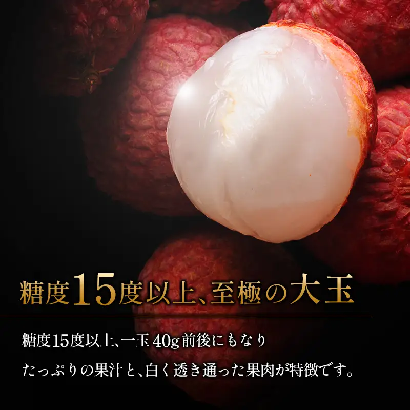［2027年発送］先行予約 希少！国産＜新富ライチ＞40g前後×10玉 国産 ブランド フルーツ 果物 贈答品【B120-27】