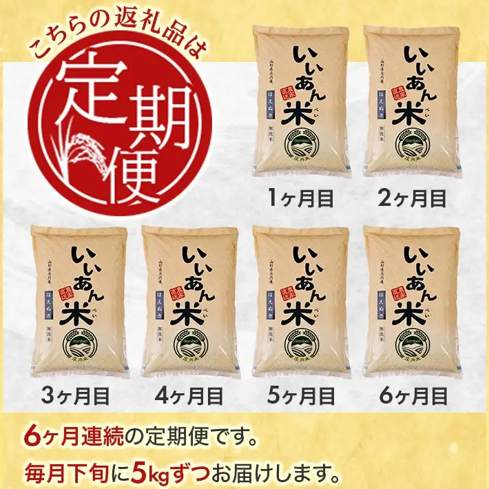 SG0144　【6回定期便】無洗米はえぬき　5kg×6回(計30kg)　農家直送『いいあん米』AG