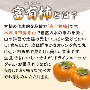 《先行予約》 かせやまの柿 富有柿 Lサイズ 約3.5kg 京都 015-01 ｜ かき【2026年10月下旬～順次発送】