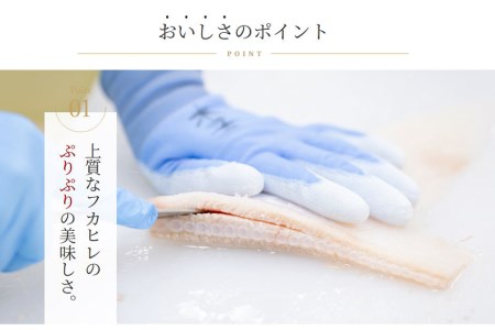 濃縮ふかひれスープ 5袋セット 