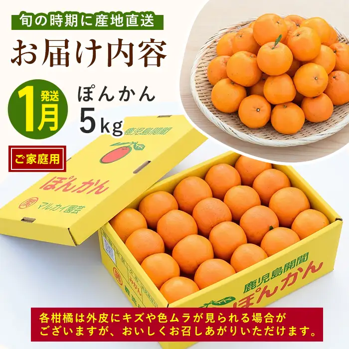 全３回定期便 みかん尽くし ぽんかん 不知火 たんかん IBZ064-001