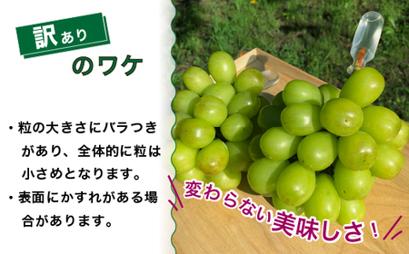 【早期予約】訳あり シャインマスカット 約2kg 樹熟 3～4房｜ 富山県産 マスカット ぶどう ブドウ 葡萄 ※北海道・沖縄・離島への配送不可 ※2026年10月～発送