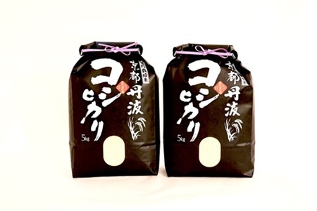 【京丹波の米】 ＜新米予約＞京丹波こしひかり 10kg 令和8年産 【 京丹波産 米  白米 】   [015MB001]
