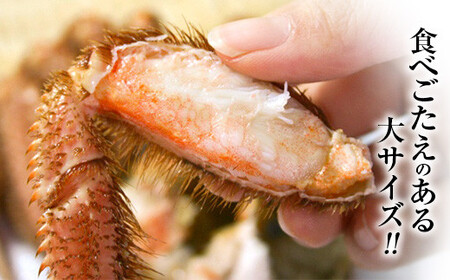 【北海道産】浜ゆで大毛ガ二 約570g～650g×1尾 ＜道産ネットミツハシ＞ かに カニ 蟹 ガニ がに 森町 ふるさと納税 北海道 毛蟹 毛かに 毛ガニ 毛カニ mr1-0807