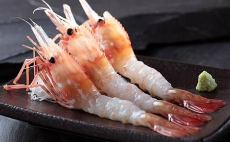 ぼたん海老 大サイズ 500g×2セット（1kg） ぼたんえび ぼたん海老 北海道 海産物 魚介 魚介類 mr1-0165