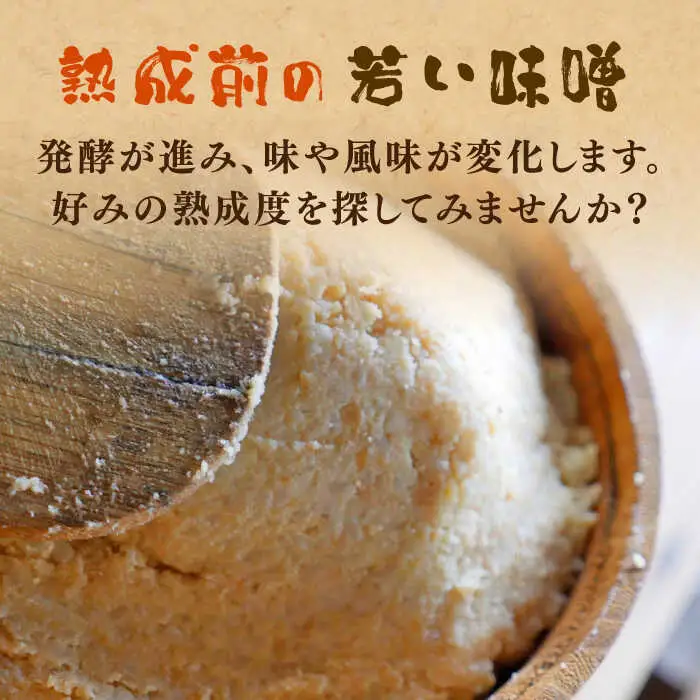 味噌 寒仕込み味噌 新福みそ 4kg [ABAF009] 味噌