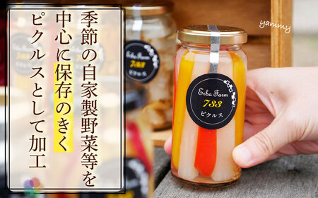 おまかせ ピクルス 2本 + にんにく 醤油 1本 セット [ABAP002]