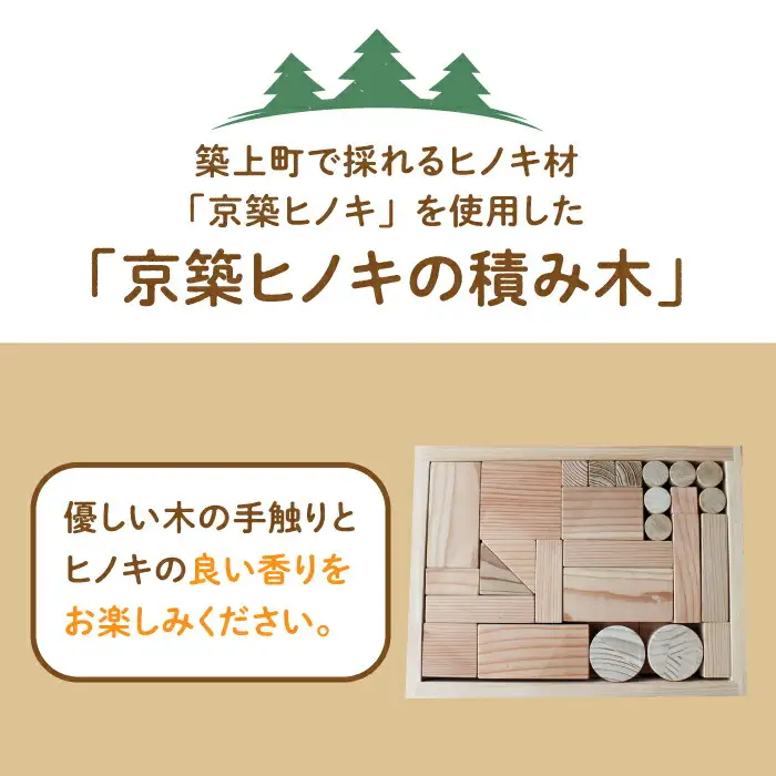 京築ヒノキ の 積み木 [ABAI020]