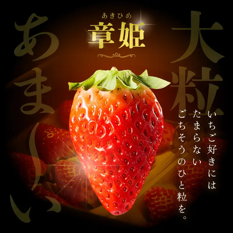 イチゴ 章姫 8-11粒×2パック | 大きないちご