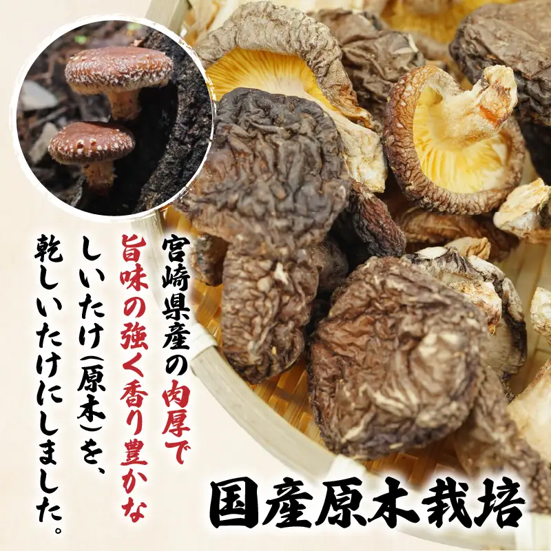 乾燥しいたけ 40g×6袋 240g　椎茸 小分け パック 小袋 個包装 個別包装 出汁取り 使い切り 使い勝手 普段使い お吸い物 きのこ キノコ類 干ししいたけ 乾しいたけ 原木栽培 乾燥しいたけ 常温 グルメ お取り寄せ おすすめ 宮崎県 高千穂町 _Tk004-039