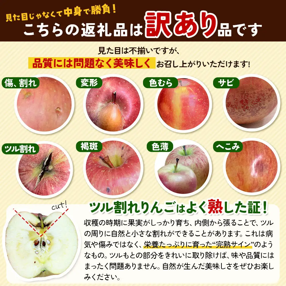 りんご サンふじ【訳あり】約5kg（16～18個）家庭用 先行受付