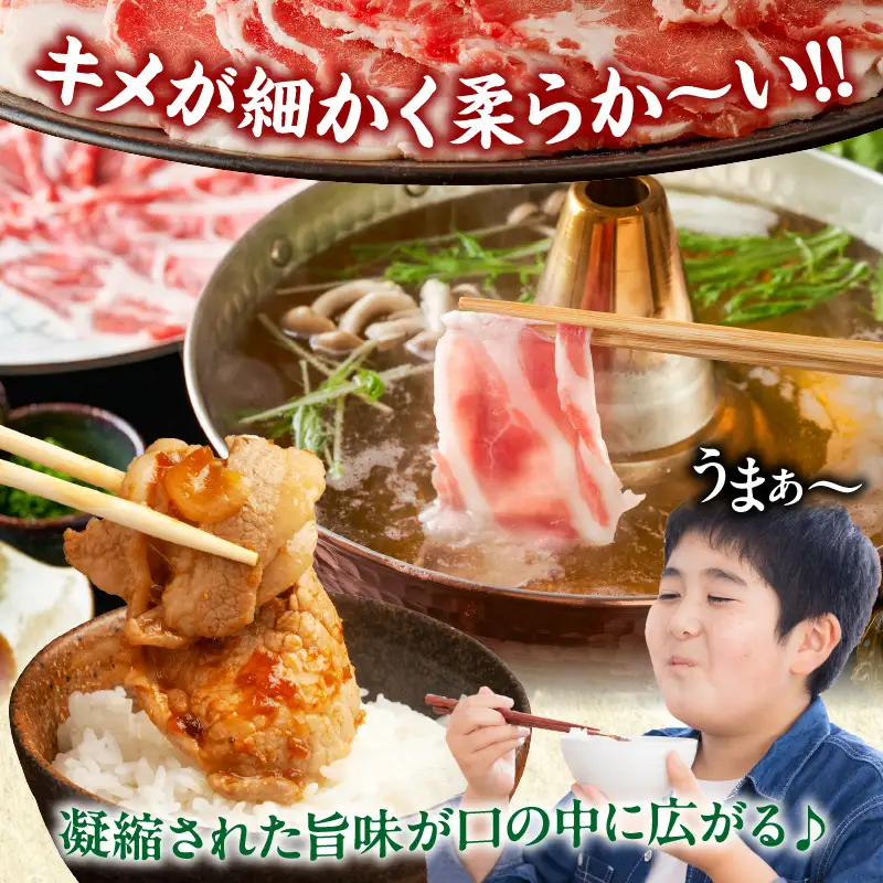 宮崎県産豚ローススライス計1.8kg 肉 豚 豚肉 おかず 国産 _T009-0065