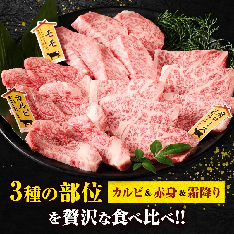 宮崎牛『焼肉』3種食べ比べセット(合計300g)肉 牛 牛肉 おかず 国産_T009-035