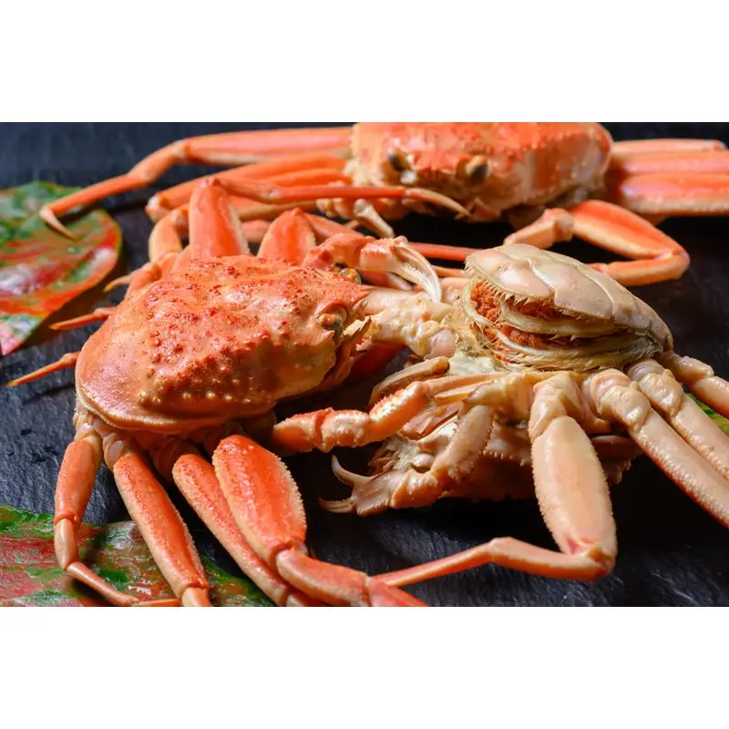 【蟹の匠 魚政】内子外子が美味! 茹でたて セイコガニ（セコ蟹）（香箱ガニ）（こっぺ）中小サイズ 5匹セット