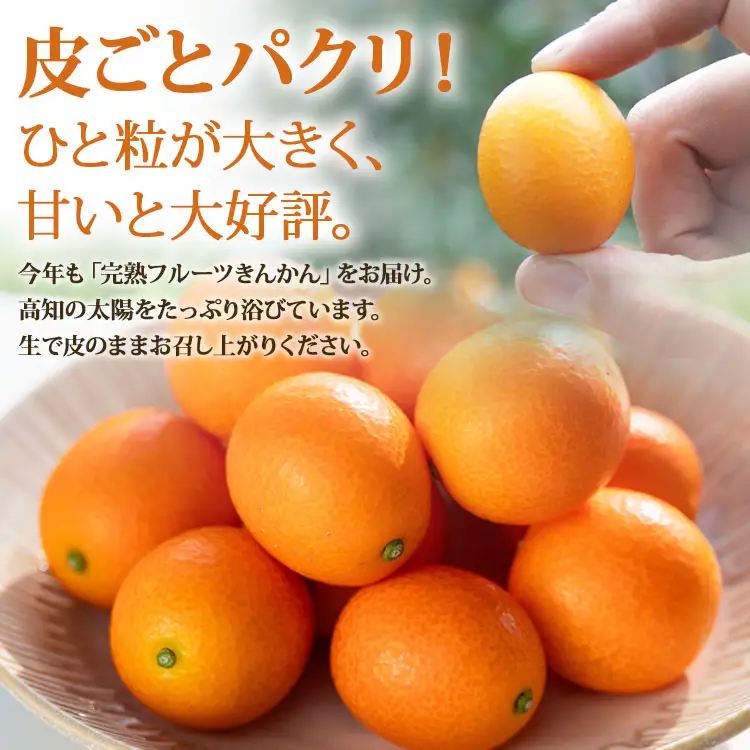 【先行受付】きんかん 約1kg 完熟 きんかん ku-0032