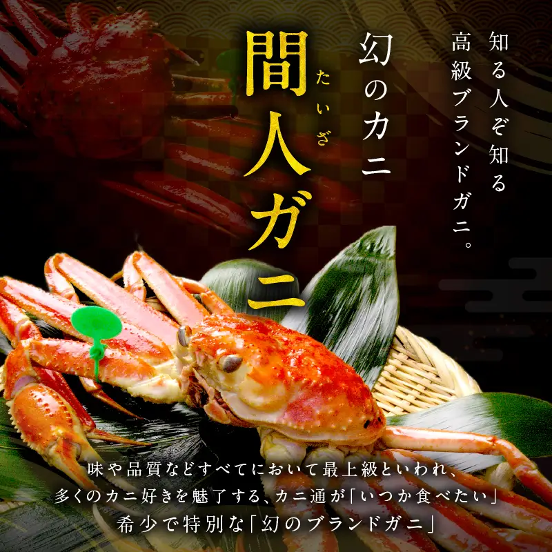 かに卸問屋がお届け・自社釜ゆで！幻のゆで間人ガニ 1ｋｇ～1.1ｋｇ超 特大サイズ（11月発送）／北畿水産 かに