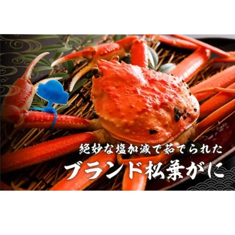 かに卸問屋がお届け・自社釜ゆで！山陰沖ゆで松葉がに 700ｇ～800ｇ 中大サイズ（11月発送）／北畿水産