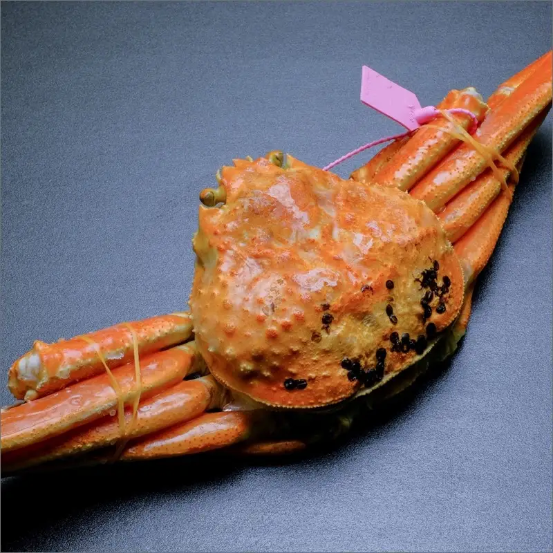 【蟹の匠 魚政】魚政BLACK 茹でズワイガニ〈急速冷凍〉小サイズ 1杯【姿のまま】カニ酢付き