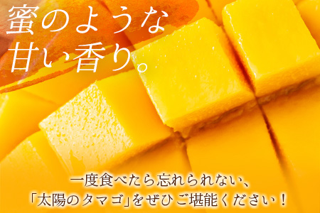 2027年出荷 太陽のタマゴ2Lサイズ 2玉 完熟マンゴー 宮崎 C218-27