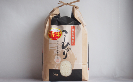 京都宮津市産コシヒカリ 5kg お米 白米 精米 京都宮津市産コシヒカリ