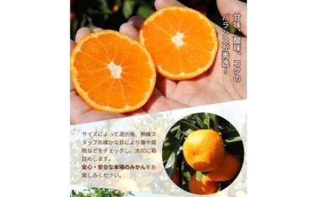 有田みかん こだわりの完熟 4kg＋150g(傷み補償分) ｜ みかん