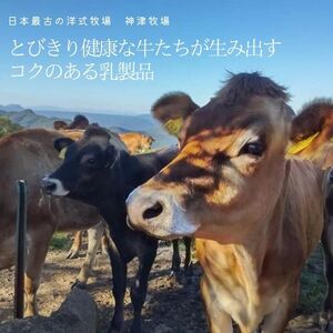 【神津牧場】ジャージー牛の濃厚ミルクで作った神津ジャージーアイスクリーム（牛乳味）6個入り F21K-309