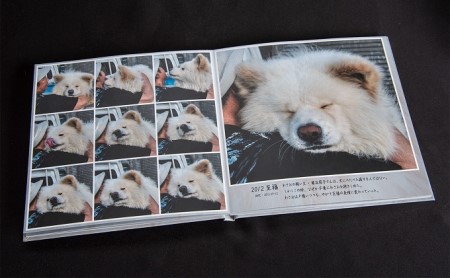 わさおを偲ぶ写真集 オリジナル写真集 