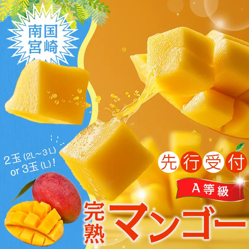 【先行受付!】宮崎完熟マンゴー2～3玉(都城産)〔AC-3303〕_(都城産) 宮崎マンゴー A等級 2玉～3玉 2Lサイズ～3Lサイズ MANGO フルーツ 化粧箱 宮崎県産 都城産 産地直送 冷蔵 