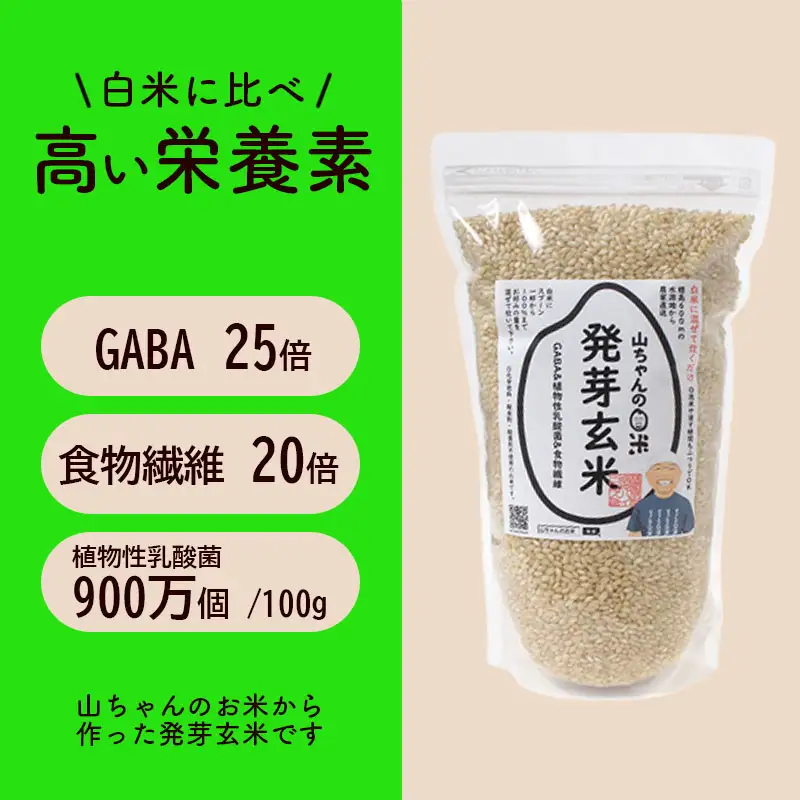 農家直送『山ちゃんの発芽玄米』1500g ×２袋