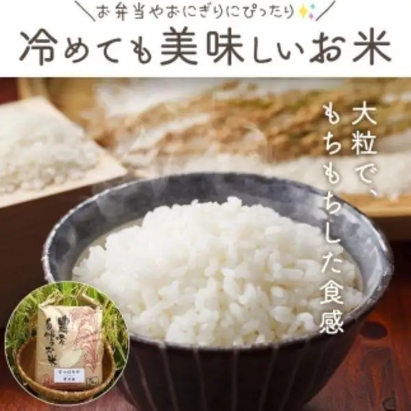 ★令和8年産★ 大崎産「なつほのか（幸せ米）」５kg