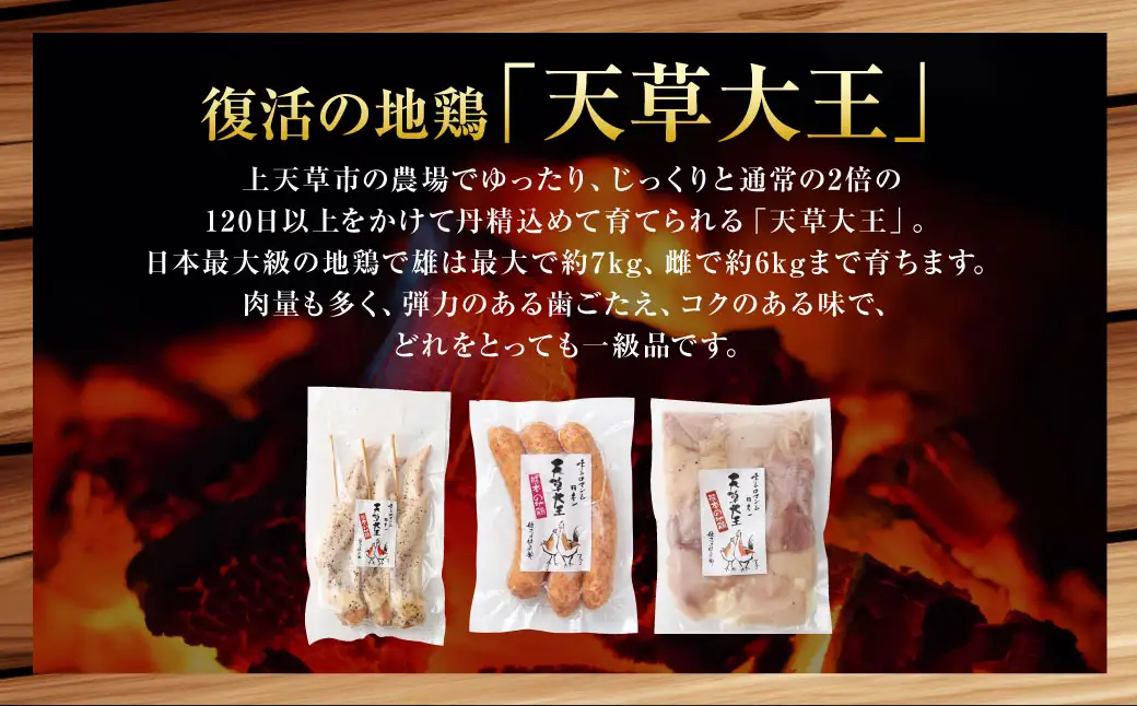 天草大王プレミアムバーベキューセット（小） 計3パック 天草大王 焼鳥 手羽先 串 ウインナー コロコロカット