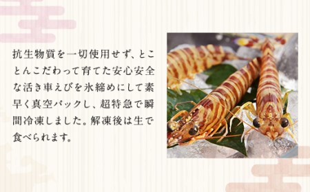 【上天草ブランド認証品】 匠の車えび【活き締め急速冷凍】250g×4パック(28尾～40尾)