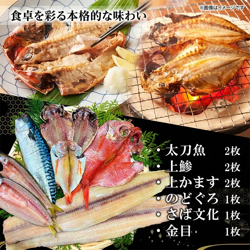 老舗干物店 干物 6種 詰合せ 湘南