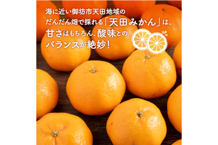 【0613-4】濃厚温州みかん5kg（和歌山天田みかん）みかんの産地和歌山 北村農園直送《先行予約》