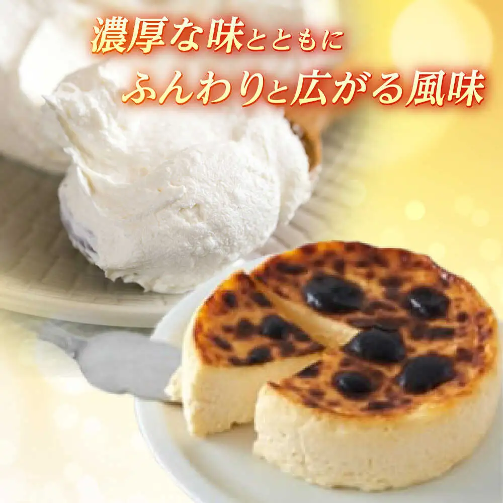 バスクチーズケーキ4号 バスクチーズケーキ [BDAJ002]