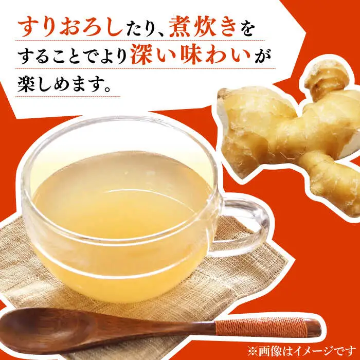 囲い生姜 約 1kg / ショウガ 南島原市 / ふくはちファーム / 福島農園 [SBS009]