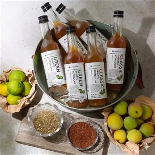 老舗酵素メーカー「大和酵素」が作る、 本物のコンブチャ　(280ml×24本)【1125095】