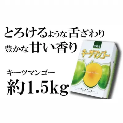 【先行受付】【2026年発送】神谷ファームのキーツマンゴー 約1.5kg - 先行予約 沖縄県産 産地直送 南国フルーツ 旬の味覚 季節の果物 希少種 贈り物 ギフト 沖縄県 八重瀬町