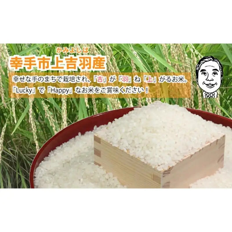 【令和7年産米】ハッピー(幸手市)でラッキー(上吉羽)なお米 コシヒカリ精米10kg - 白米 減農薬 ごはん 