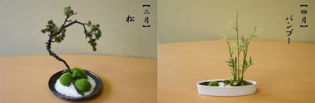 【偶数月にお届け】和モダン 苔盆栽の6回定期便 