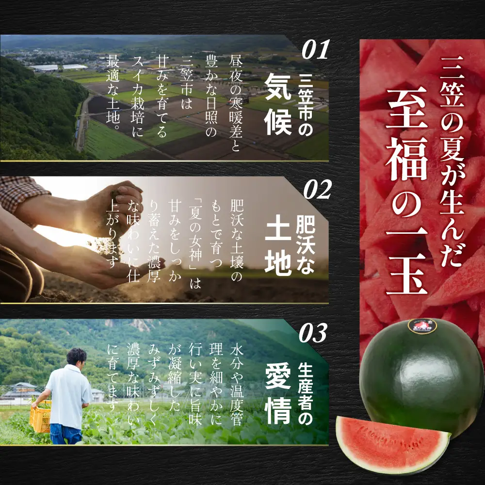 《2026年分受付中》『夏の女神』種が少なくて甘い黒皮スイカ1玉入（中玉4～6kg）【01005】
