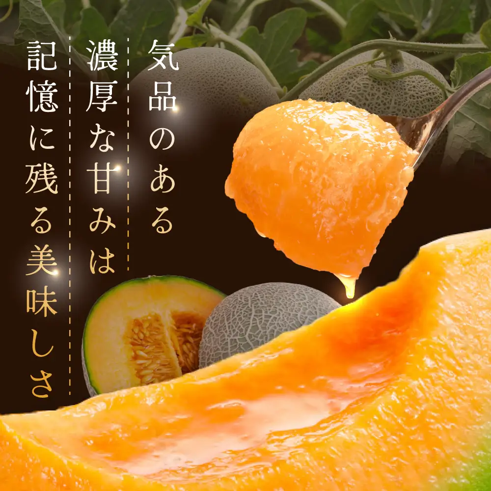 《2026年分受付中》大玉！とろける食感と甘い香り北海道三笠メロン3玉入（4.5kg～4.8kg）【0100203】