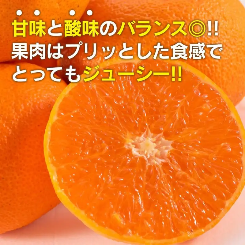 みかん 津之輝 計2.5kg以上 化粧箱入り 先行予約 2027年 令和9年発送 果物 くだもの フルーツ 柑橘_BC170-26
