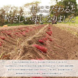 2026年11月上旬～発送 指宿産 紅はるか 約7kg IB066-006 さつまいも