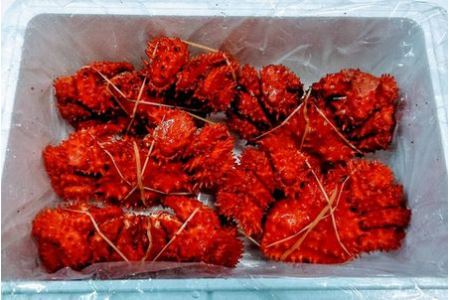 【北海道根室産】花咲ガニ4～6尾(計1.2kg) A-57037